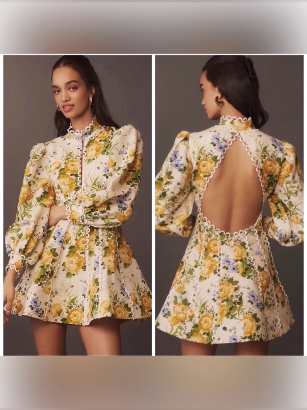 BHLDN Kali Long Sleeve Linen Fit & Flare Dress Floral Bees Size 6 Open Back Mini